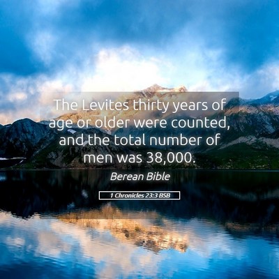 Picture 05 - 1 Chronicles 23:3 BSB - The Levites thirty years of age or older were - Bible Verse Picture