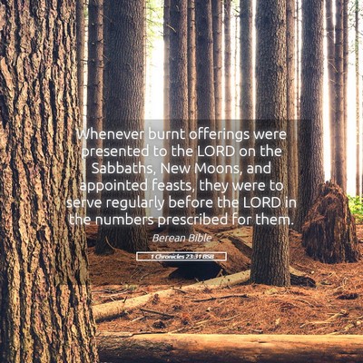 Picture 05 - 1 Chronicles 23:31 BSB - Whenever burnt offerings were presented to the - Bible Verse Picture