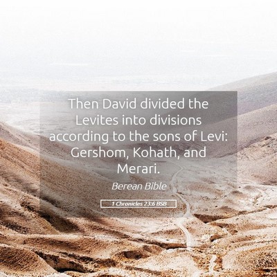 Picture 05 - 1 Chronicles 23:6 BSB - Then David divided the Levites into divisions - Bible Verse Picture