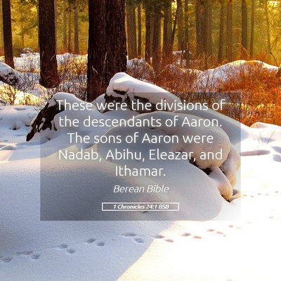 Picture 05 - 1 Chronicles 24:1 BSB - These were the divisions of the descendants of - Bible Verse Picture