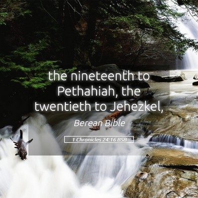 Picture 05 - 1 Chronicles 24:16 BSB - the nineteenth to Pethahiah, the twentieth to - Bible Verse Picture