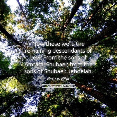 Picture 05 - 1 Chronicles 24:20 BSB - Now these were the remaining descendants of Levi: - Bible Verse Picture