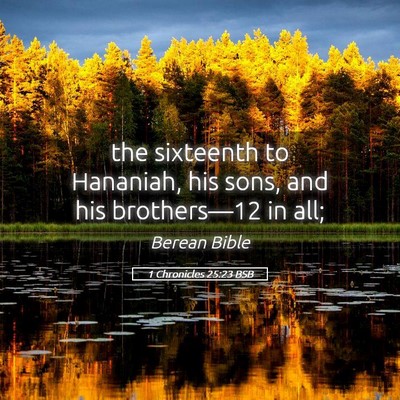 Picture 05 - 1 Chronicles 25:23 BSB - the sixteenth to Hananiah, his sons, and his - Bible Verse Picture