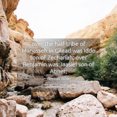 Picture 05 - 1 Chronicles 27:21 BSB - over the half-tribe of Manasseh in Gilead was - Bible Verse Picture