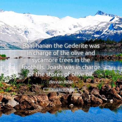 Picture 05 - 1 Chronicles 27:28 BSB - Baal-hanan the Gederite was in charge of the - Bible Verse Picture