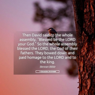 Picture 05 - 1 Chronicles 29:20 BSB - Then David said to the whole assembly, “Blessed - Bible Verse Picture