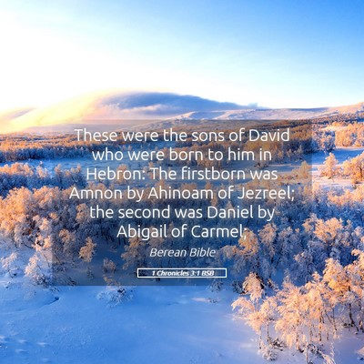 Picture 05 - 1 Chronicles 3:1 BSB - These were the sons of David who were born to him - Bible Verse Picture
