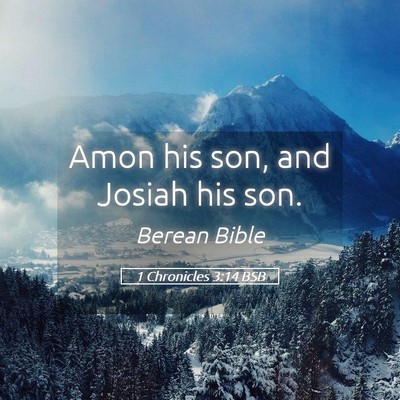 Picture 05 - 1 Chronicles 3:14 BSB - Amon his son, and Josiah his - Bible Verse Picture