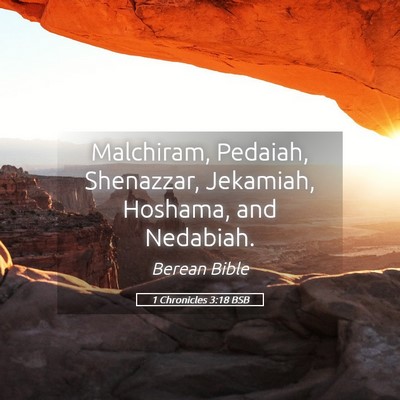 Picture 05 - 1 Chronicles 3:18 BSB - Malchiram, Pedaiah, Shenazzar, Jekamiah, Hoshama, - Bible Verse Picture