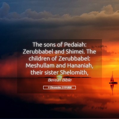 Picture 05 - 1 Chronicles 3:19 BSB - The sons of Pedaiah: Zerubbabel and Shimei. The - Bible Verse Picture