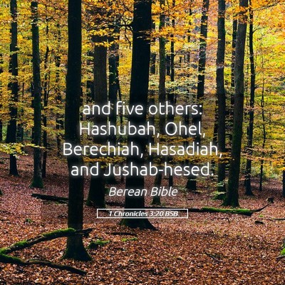 Picture 05 - 1 Chronicles 3:20 BSB - and five others: Hashubah, Ohel, Berechiah, - Bible Verse Picture