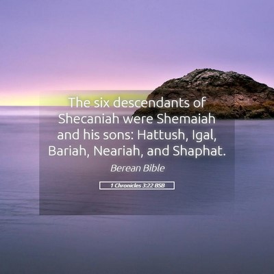 Picture 05 - 1 Chronicles 3:22 BSB - The six descendants of Shecaniah were Shemaiah - Bible Verse Picture