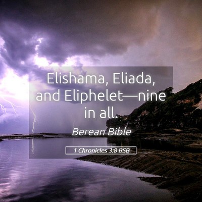 Picture 05 - 1 Chronicles 3:8 BSB - Elishama, Eliada, and Eliphelet—nine in - Bible Verse Picture