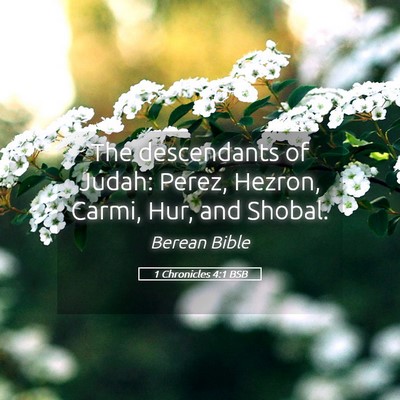 Picture 05 - 1 Chronicles 4:1 BSB - The descendants of Judah: Perez, Hezron, Carmi, - Bible Verse Picture