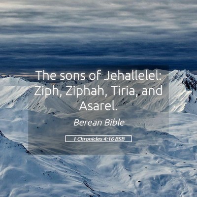 Picture 05 - 1 Chronicles 4:16 BSB - The sons of Jehallelel: Ziph, Ziphah, Tiria, and - Bible Verse Picture