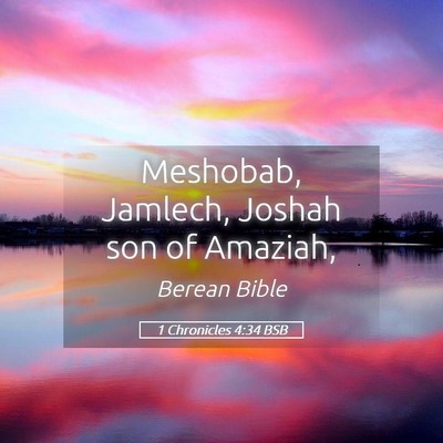 Picture 05 - 1 Chronicles 4:34 BSB - Meshobab, Jamlech, Joshah son of - Bible Verse Picture