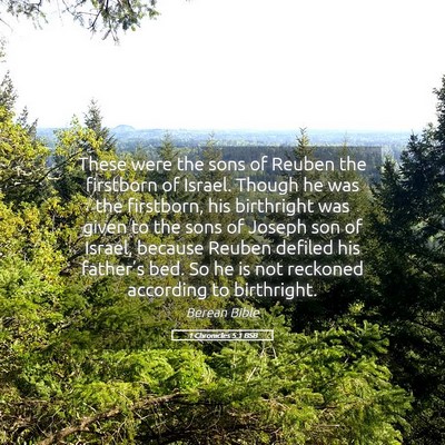 Picture 05 - 1 Chronicles 5:1 BSB - These were the sons of Reuben the firstborn of - Bible Verse Picture