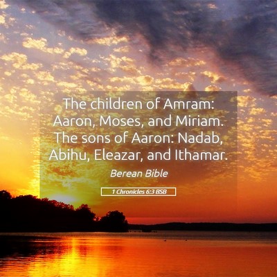 Picture 05 - 1 Chronicles 6:3 BSB - The children of Amram: Aaron, Moses, and Miriam. - Bible Verse Picture