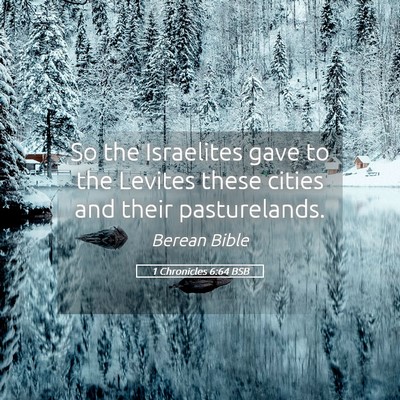Picture 05 - 1 Chronicles 6:64 BSB - So the Israelites gave to the Levites these - Bible Verse Picture