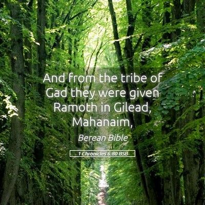 Picture 05 - 1 Chronicles 6:80 BSB - And from the tribe of Gad they were given Ramoth - Bible Verse Picture