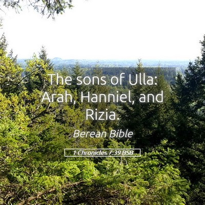 Picture 05 - 1 Chronicles 7:39 BSB - The sons of Ulla: Arah, Hanniel, and - Bible Verse Picture