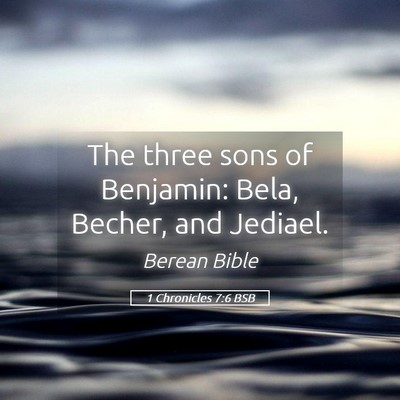 Picture 05 - 1 Chronicles 7:6 BSB - The three sons of Benjamin: Bela, Becher, and - Bible Verse Picture