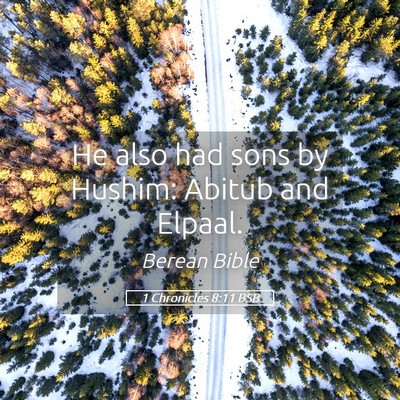 Picture 05 - 1 Chronicles 8:11 BSB - He also had sons by Hushim: Abitub and - Bible Verse Picture