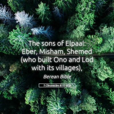 Picture 05 - 1 Chronicles 8:12 BSB - The sons of Elpaal: Eber, Misham, Shemed (who - Bible Verse Picture