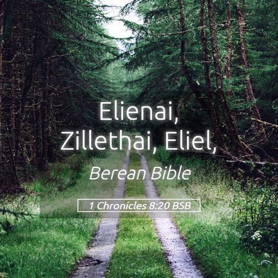 Picture 05 - 1 Chronicles 8:20 BSB - Elienai, Zillethai, - Bible Verse Picture