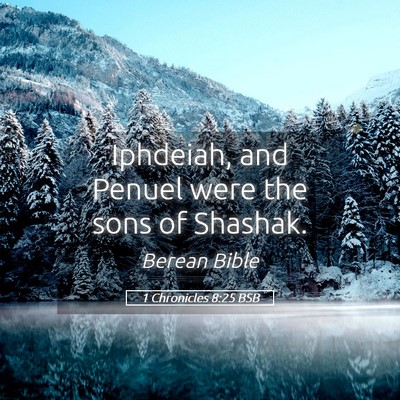 Picture 05 - 1 Chronicles 8:25 BSB - Iphdeiah, and Penuel were the sons of - Bible Verse Picture