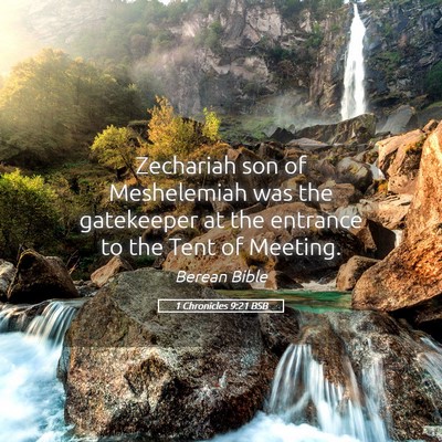 Picture 05 - 1 Chronicles 9:21 BSB - Zechariah son of Meshelemiah was the gatekeeper - Bible Verse Picture