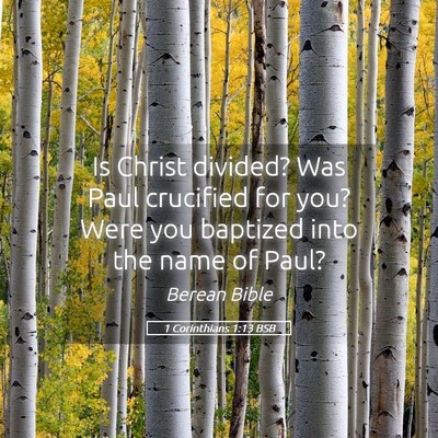 Picture 05 - 1 Corinthians 1:13 BSB - Is Christ divided? Was Paul crucified for you? - Bible Verse Picture