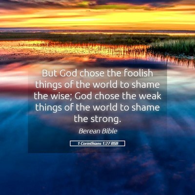 Picture 05 - 1 Corinthians 1:27 BSB - But God chose the foolish things of the world to - Bible Verse Picture