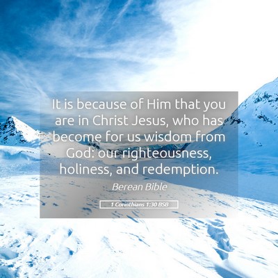 Picture 05 - 1 Corinthians 1:30 BSB - It is because of Him that you are in Christ - Bible Verse Picture