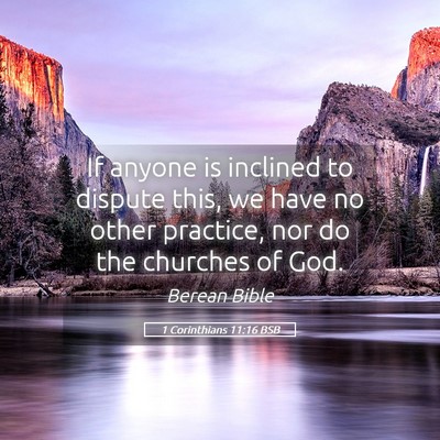 Picture 05 - 1 Corinthians 11:16 BSB - If anyone is inclined to dispute this, we have no - Bible Verse Picture