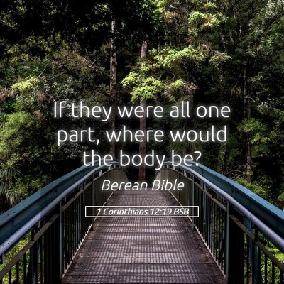 Picture 05 - 1 Corinthians 12:19 BSB - If they were all one part, where would the body - Bible Verse Picture