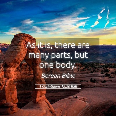 Picture 05 - 1 Corinthians 12:20 BSB - As it is, there are many parts, but one - Bible Verse Picture