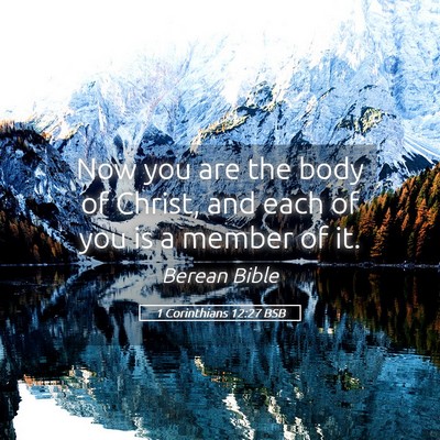 Picture 05 - 1 Corinthians 12:27 BSB - Now you are the body of Christ, and each of you - Bible Verse Picture