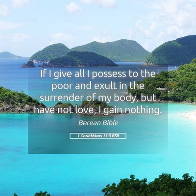 Picture 05 - 1 Corinthians 13:3 BSB - If I give all I possess to the poor and exult in - Bible Verse Picture