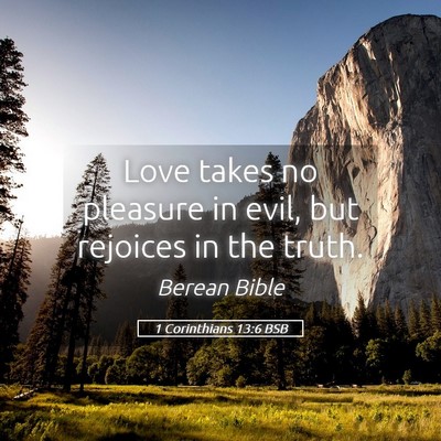 Picture 05 - 1 Corinthians 13:6 BSB - Love takes no pleasure in evil, but rejoices in - Bible Verse Picture