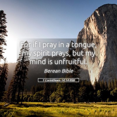 Picture 05 - 1 Corinthians 14:14 BSB - For if I pray in a tongue, my spirit prays, but - Bible Verse Picture