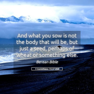 Picture 05 - 1 Corinthians 15:37 BSB - And what you sow is not the body that will be, - Bible Verse Picture