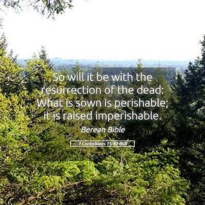 Picture 05 - 1 Corinthians 15:42 BSB - So will it be with the resurrection of the dead: - Bible Verse Picture