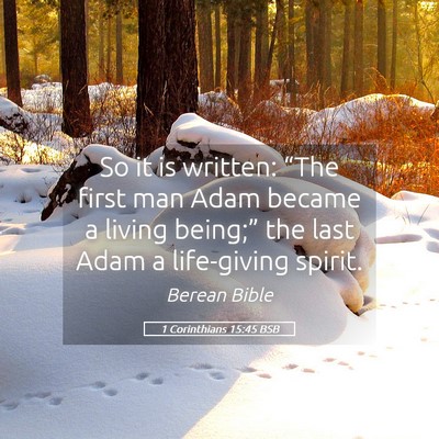 Picture 05 - 1 Corinthians 15:45 BSB - So it is written: “The first man Adam became a - Bible Verse Picture