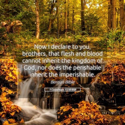Picture 05 - 1 Corinthians 15:50 BSB - Now I declare to you, brothers, that flesh and - Bible Verse Picture