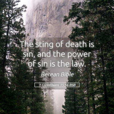 Picture 05 - 1 Corinthians 15:56 BSB - The sting of death is sin, and the power of sin - Bible Verse Picture