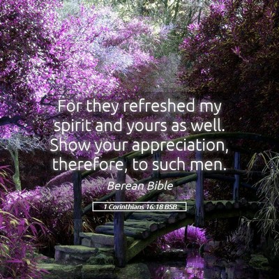 Picture 05 - 1 Corinthians 16:18 BSB - For they refreshed my spirit and yours as well. - Bible Verse Picture