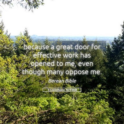 Picture 05 - 1 Corinthians 16:9 BSB - because a great door for effective work has - Bible Verse Picture