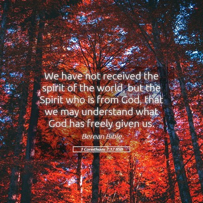 Picture 05 - 1 Corinthians 2:12 BSB - We have not received the spirit of the world, but - Bible Verse Picture