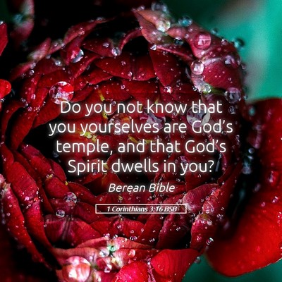 Picture 05 - 1 Corinthians 3:16 BSB - Do you not know that you yourselves are God’s - Bible Verse Picture